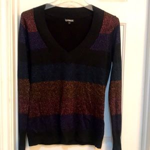 Express v neck sweater